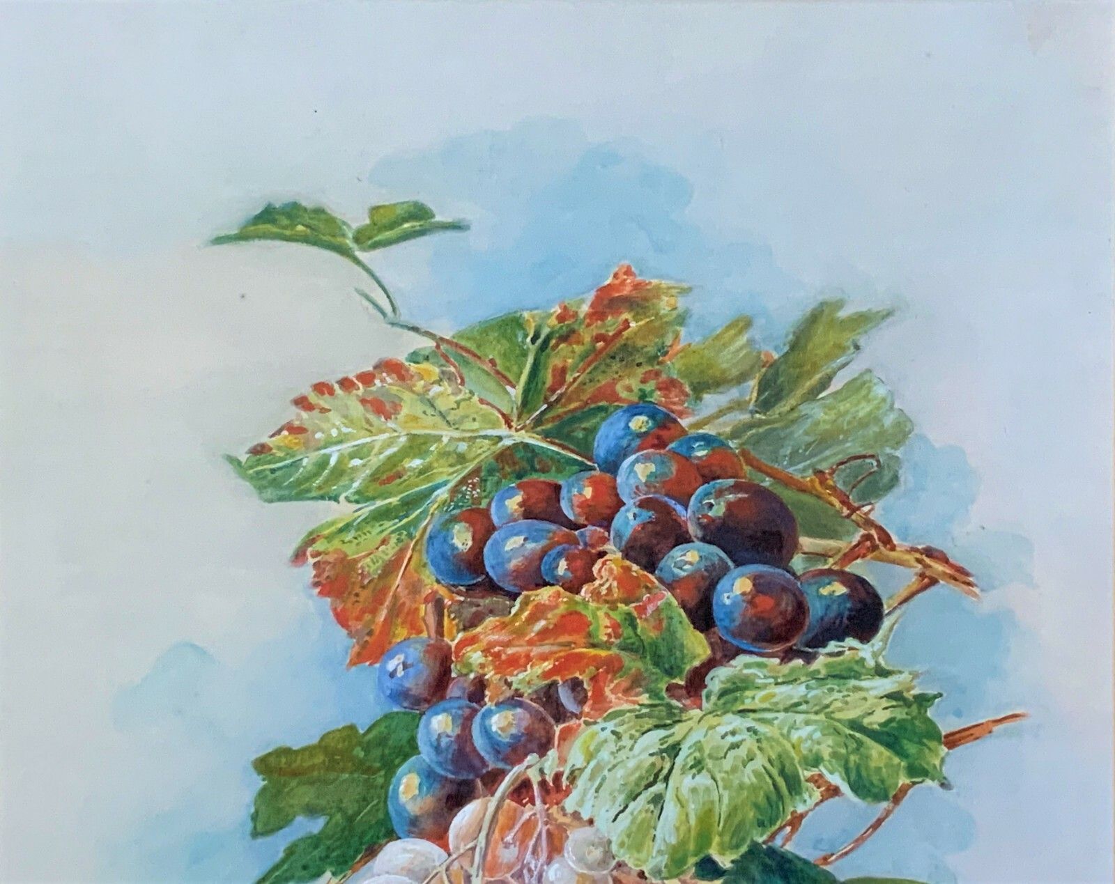 Exceptional Quality Vintage Still Life Study Of Grapes Watercolour Painting photo for sale