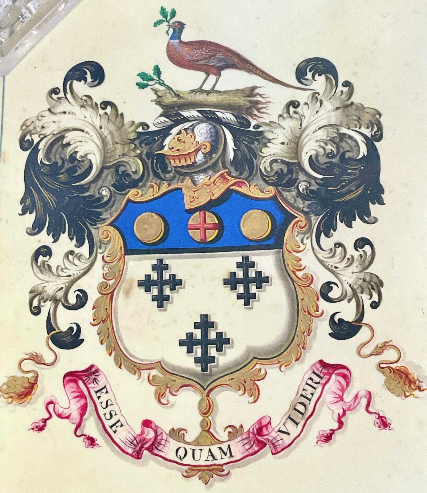 Koninklijke Oorkonde 1836 Ondertekend Door Koning William IV, Verluchte Perkamentrol Met Waszegelsin Originele Koker photo buy
