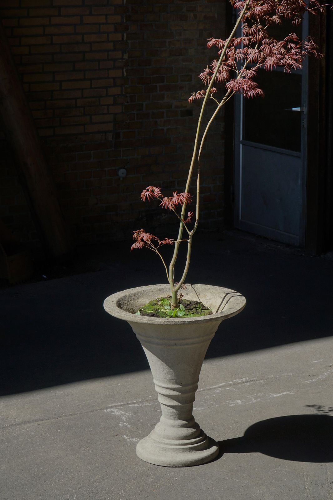 Cast Concrete Urn / Garden Planter, Mid 20th Century, Scandinavia, 1970s photo vintage