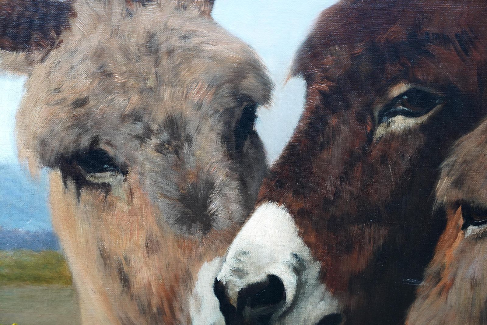 Portrait Of Donkeys In A Landscape   British Victorian Art Animal Oil Painting photo 8652.0