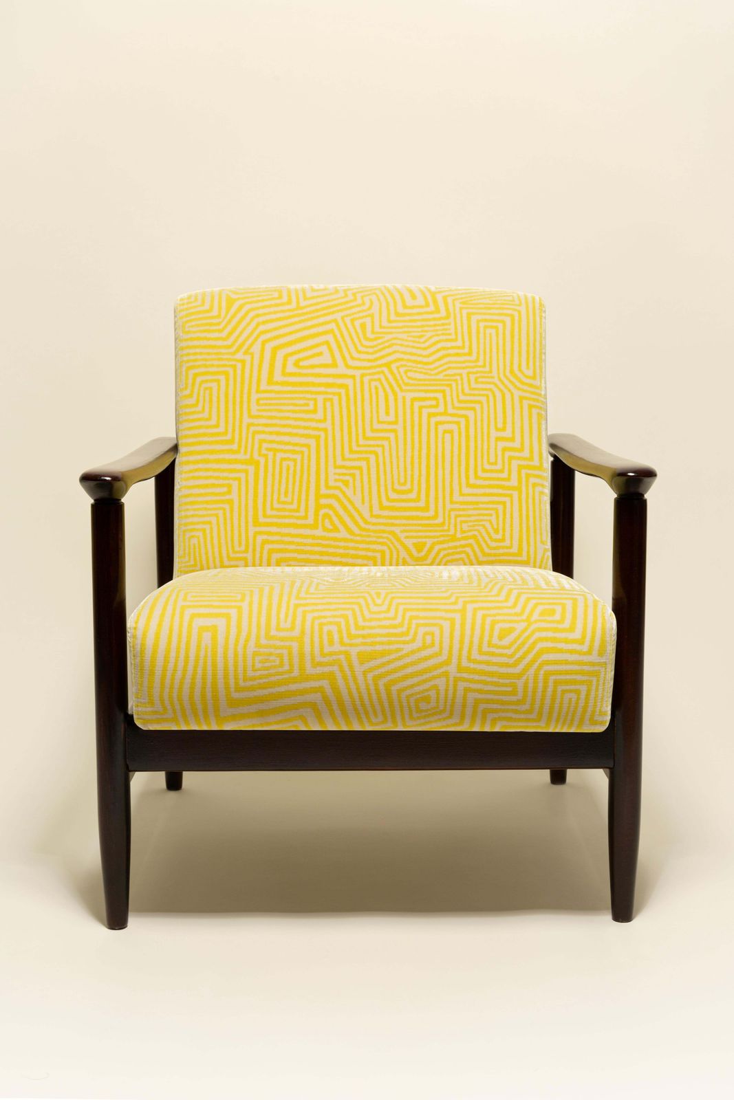 Mid Century Gfm 142 Armchair, Jamu Jungle Velvet By Dedar, E. Homa, Europe, 1960 photo furniture