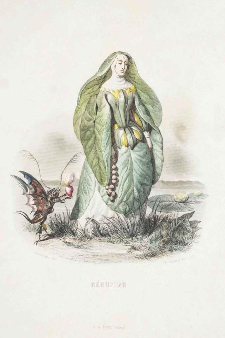 Nénuphar   Les Fleurs Animées Vol. I   Lithograph By J.J. Grandville   1847