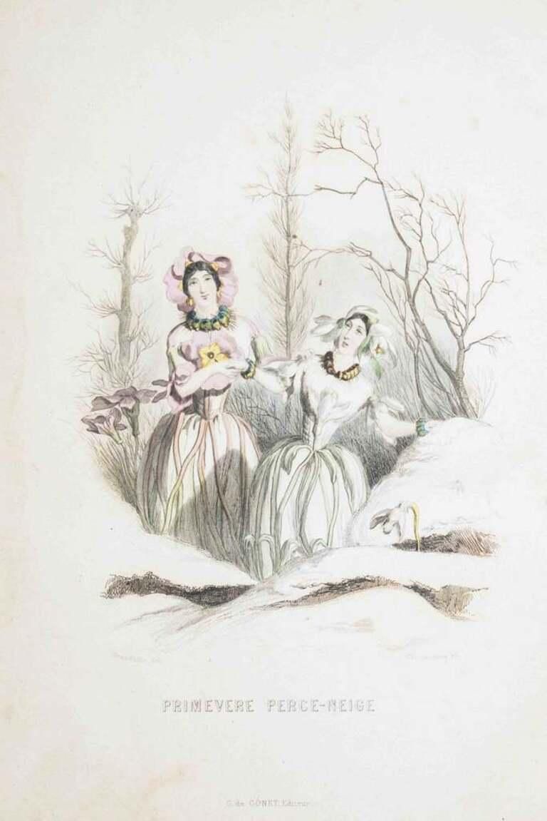 Primevère Perce Neige   Les Fleurs...   Lithograph By J.J. Grandville   1847