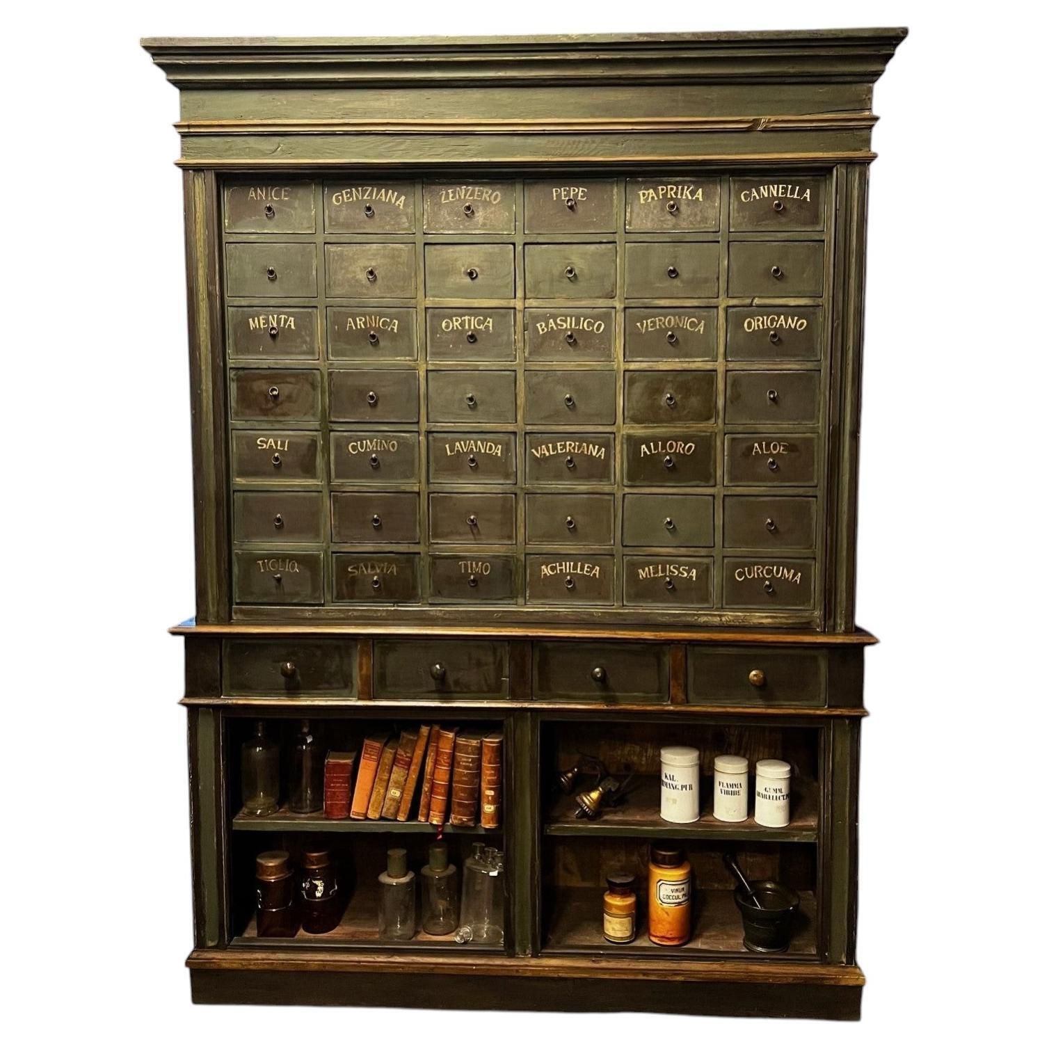 Lacquered Herbal Medicine Cabinet With 46 Drawers, Italy