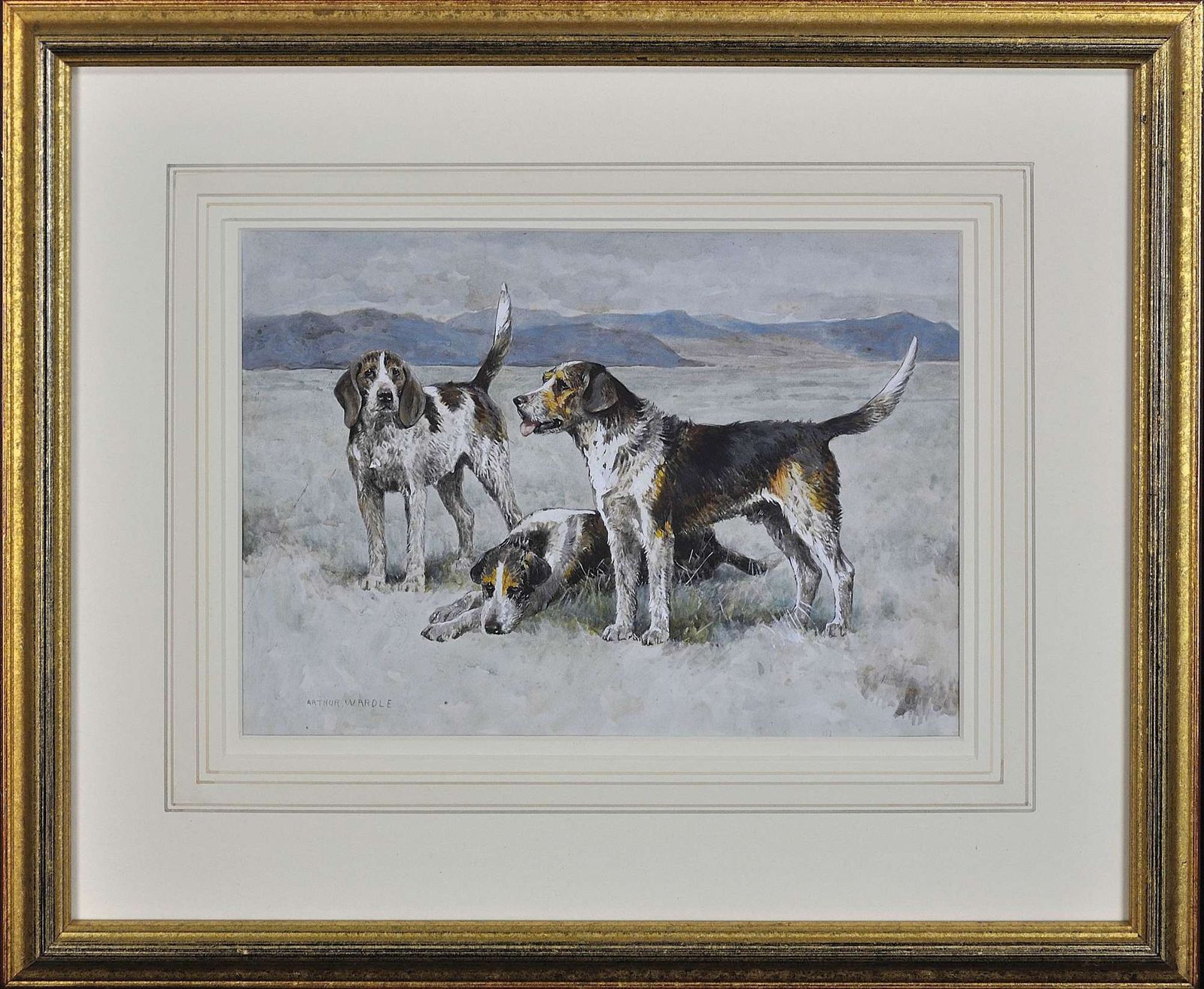 Arthur Wardle 1864 tot 1949. Engels. Een roedel Welsh Hounds in Wales. Ingelijst Victoriaans aquarel schilderij van honden uit 1900.