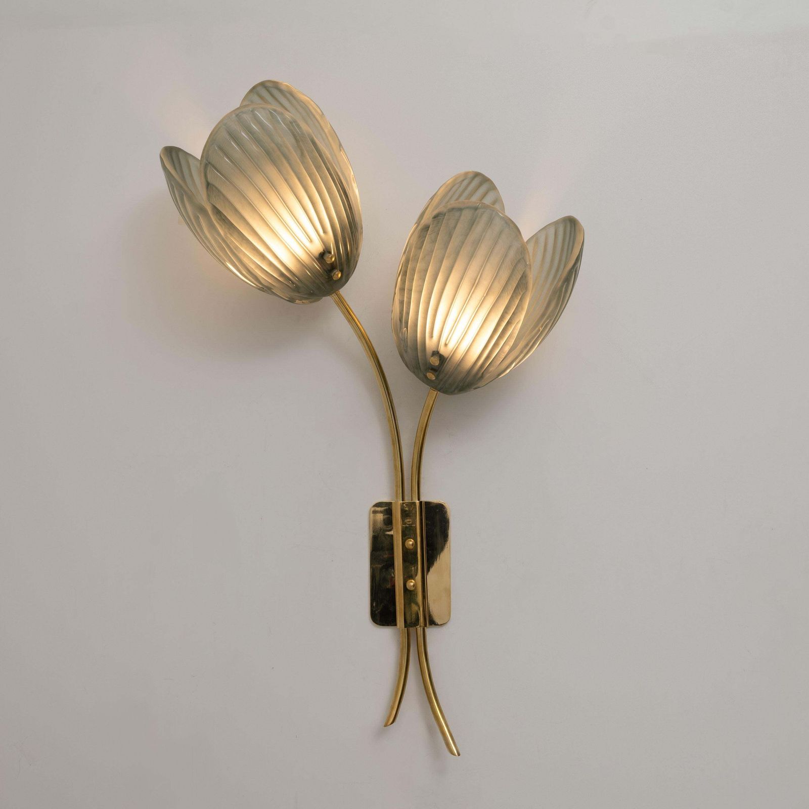Pair Of Tulips Murano Glass And Brass Sconces photo Lighting