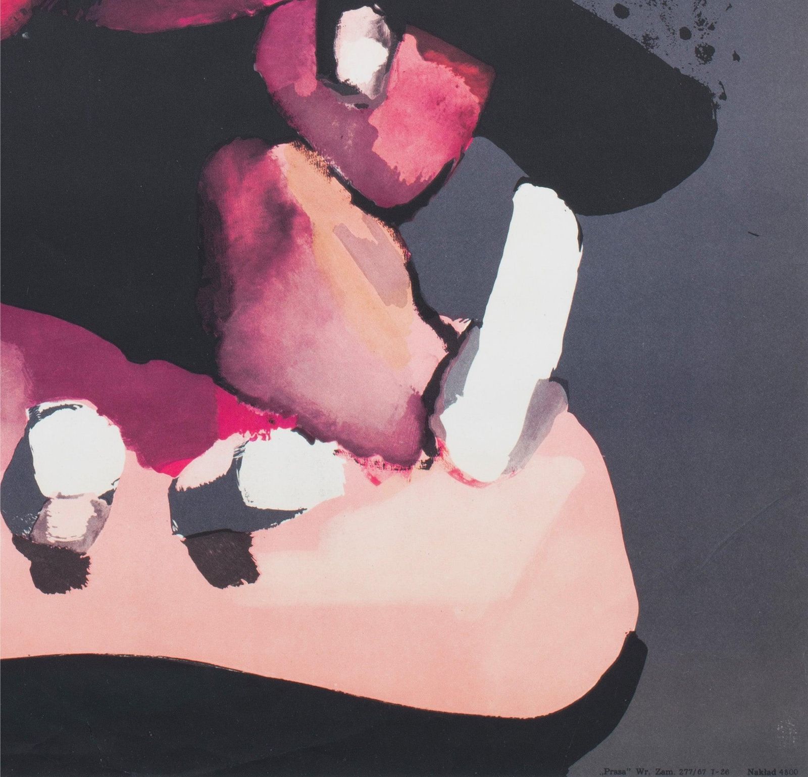 Zwiedzajcie Warszawa Zoo 1967 Polish Poster, Waldemar Swierzy photo vintage