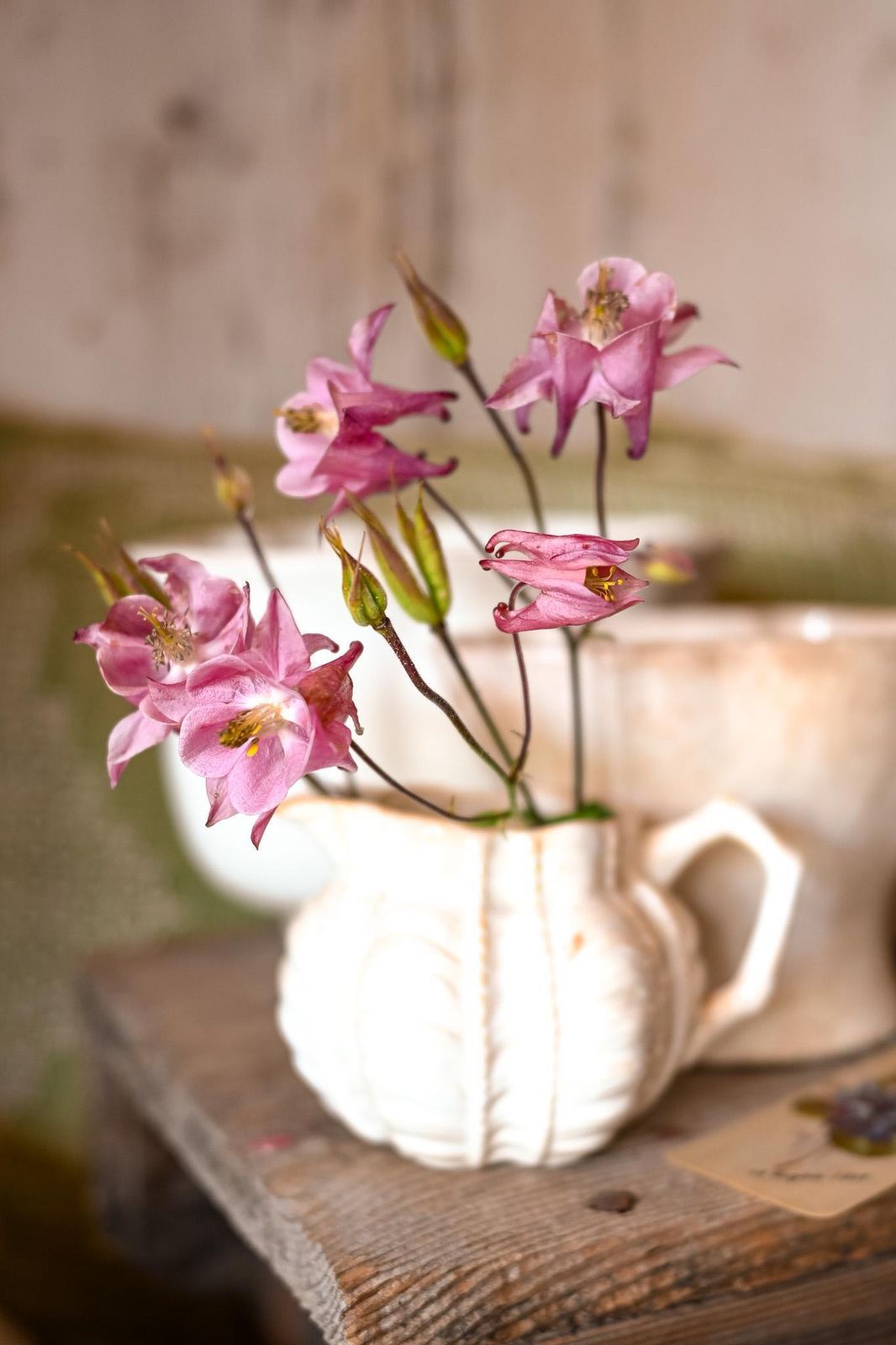 Antique Wileman & Co. Cream Jug | Rd. 150035 | Registered 1874 | As Found | Pre Shelley English Porcelain photo furniture