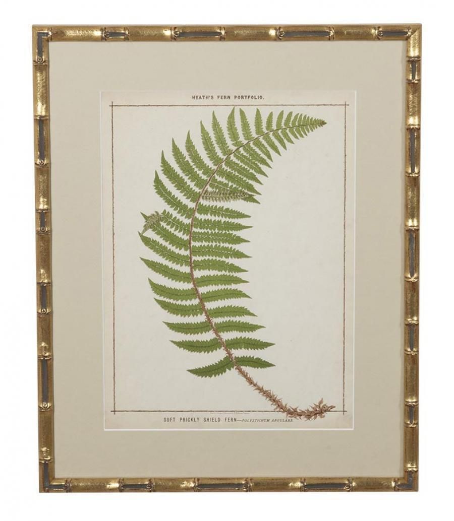 Collection Of Nine 19th Century Life Size Ferns By Francis George Heath photo furniture