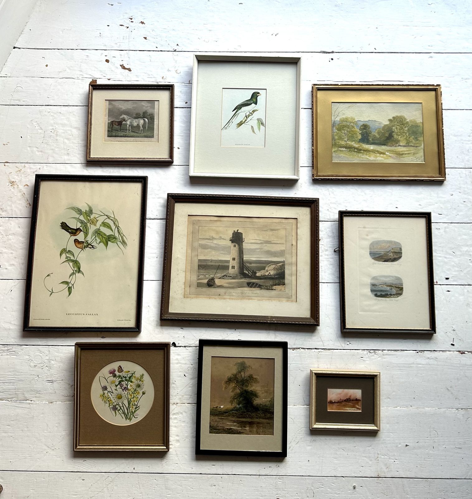 Collection Of 9 Antique & Vintage Framed Pictures photo 394.87