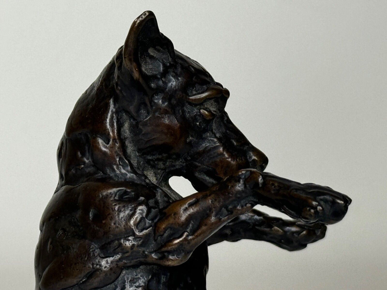 Kunst Staande hond Jack Russell, gepatineerde bronzen sculptuur van Lucy Kinsella photo