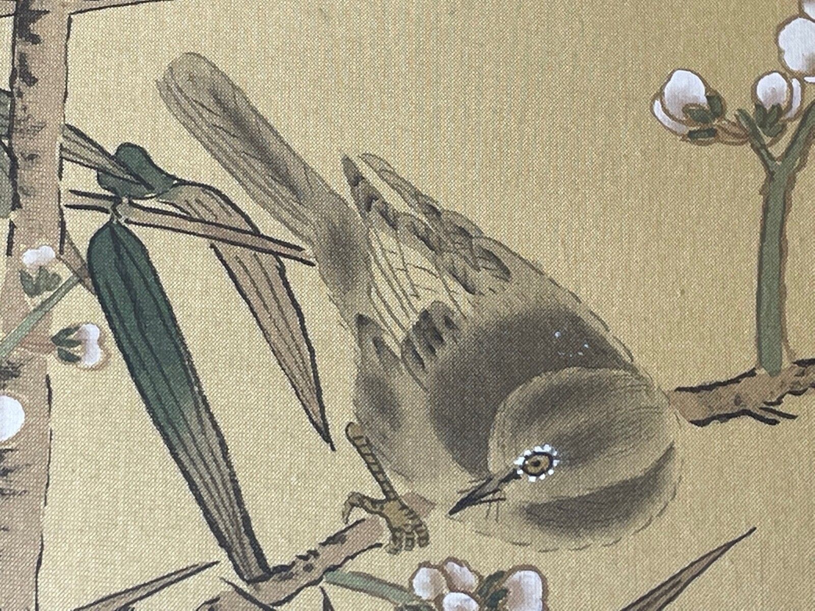 Chinese Painting 2 Wild Birds Plum Blossom Eyes After Zhao Ji (趙佶, 1082–1135) photo vinterior