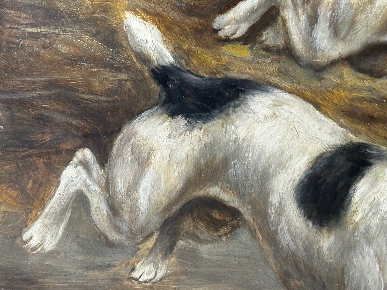 photo buy 19e-eeuws jachtschilderij in olieverf, twee Jack Russell Terrier honden die een rat achtervolgen in een schuur, gesigneerd door Edward Aistrop