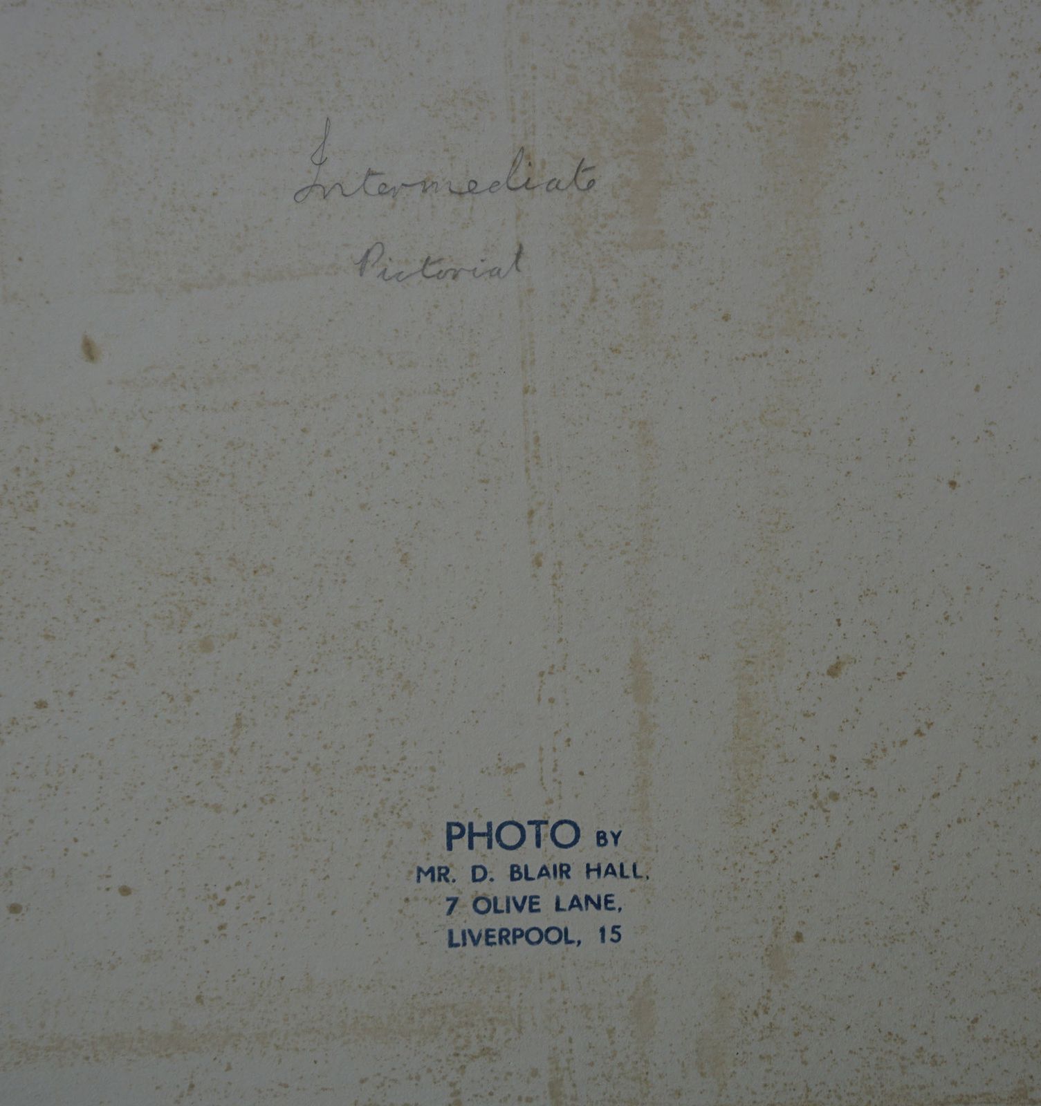 photo for sale 1968 Large Black & White Photograph 'Study' Classical Image With Original Exhibition Label Signed & Dated Fine Art Print