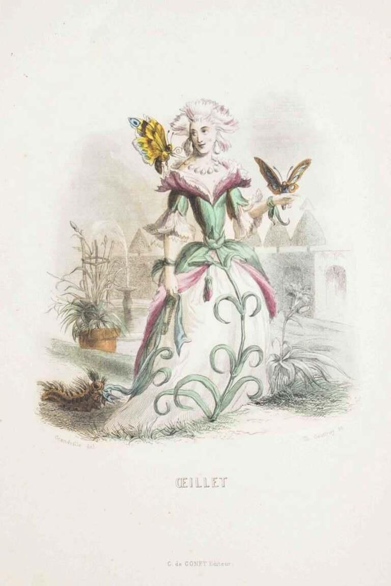Oeillet   Les Fleurs Animées Vol.I   Lithograph By J.J. Grandville   1847