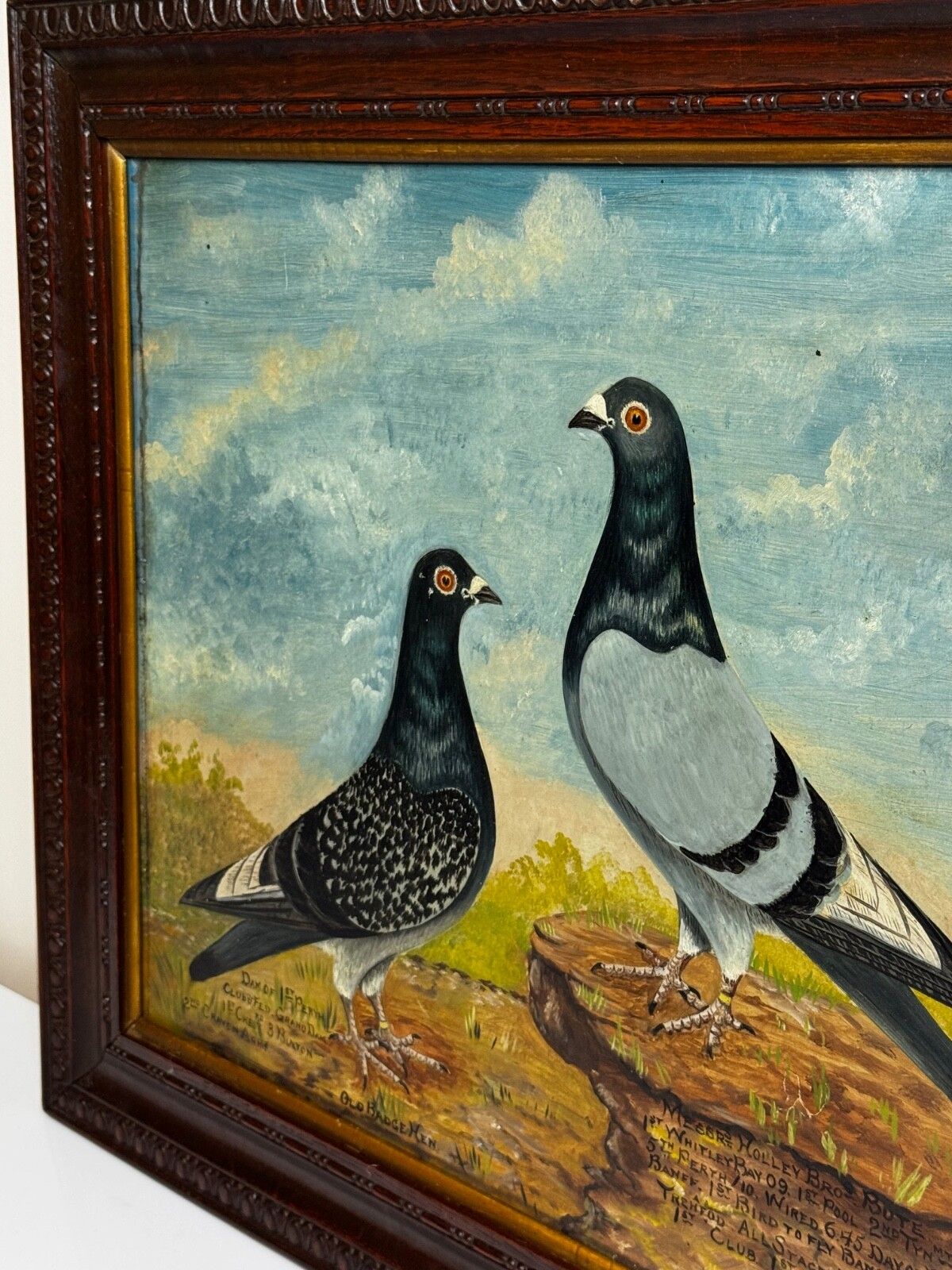 Early 20th Century Holley Brothers Of Bute Racing Pigeons — Whitley Bay 1909 Winners Oil Portrait Framed photo for sale