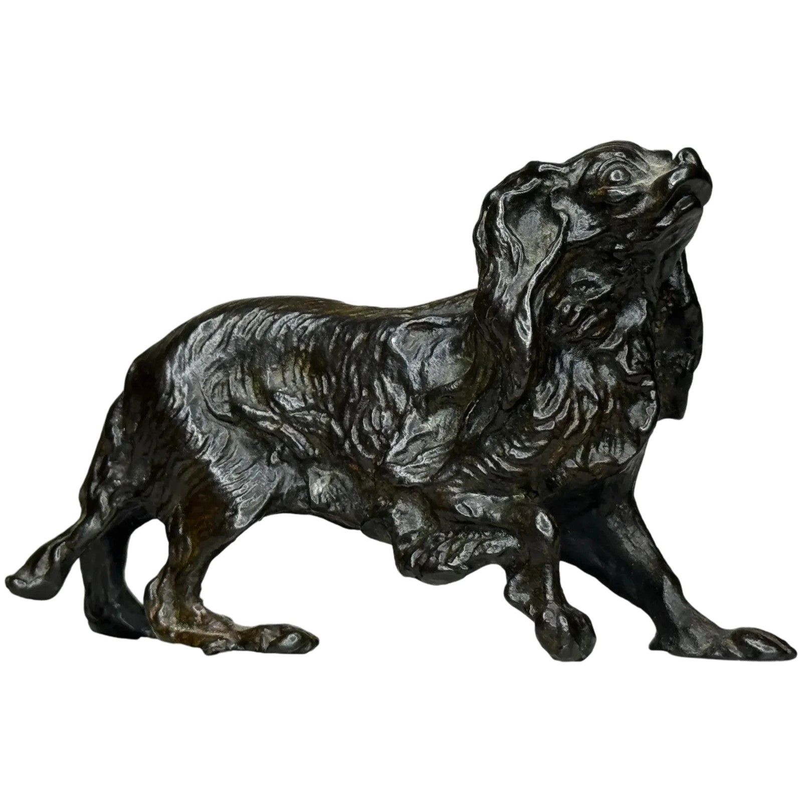 Oostenrijks bronzen langharige tekkel in de stijl van Franz Xaver Bergman