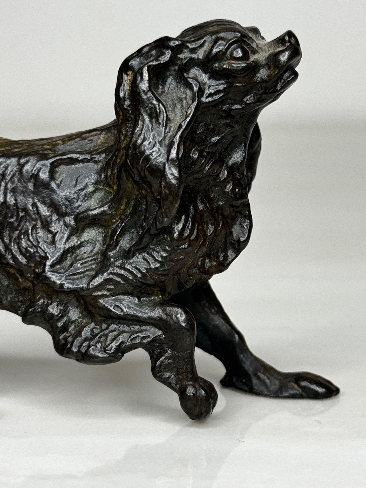 Oostenrijks bronzen langharige tekkel in de stijl van Franz Xaver Bergman photo Kunst