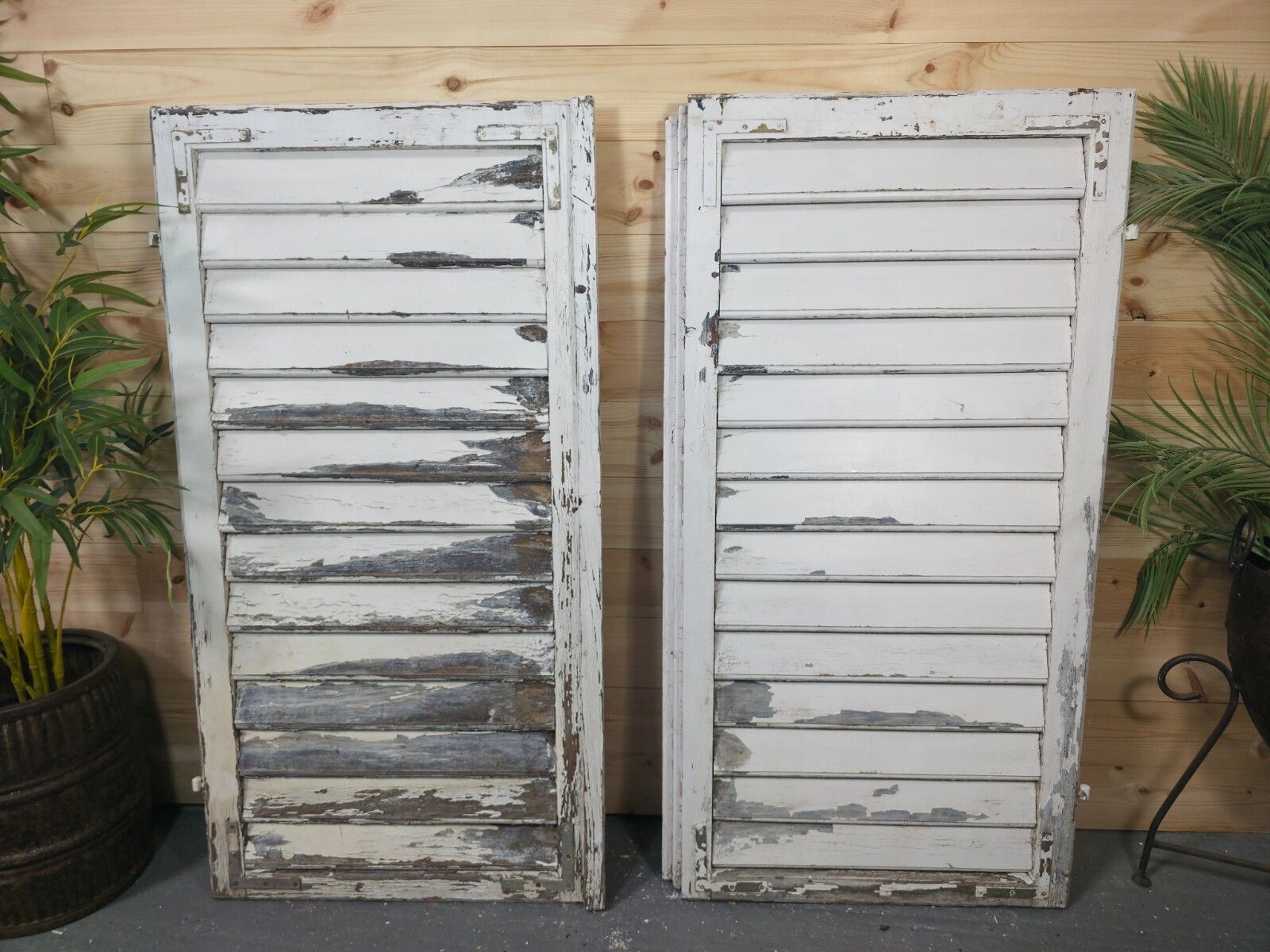 Vintage Antique Pair Rustic French Louvered Pine Wooden Window Shutters photo 150.0