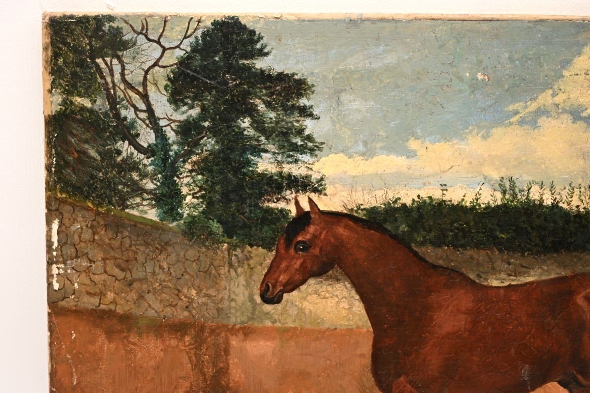 Antique Georgian Period Oil Painting Of A Horse photo Art