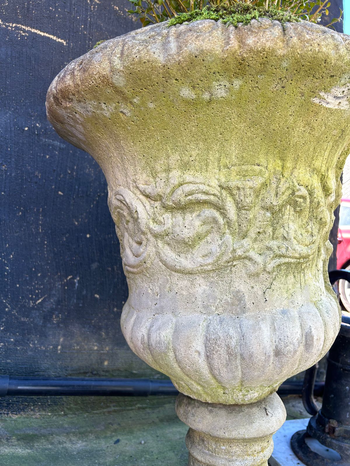 Pair Of Urns Planters And Cloud Trees Antique Greek Style Garden Urns photo for sale