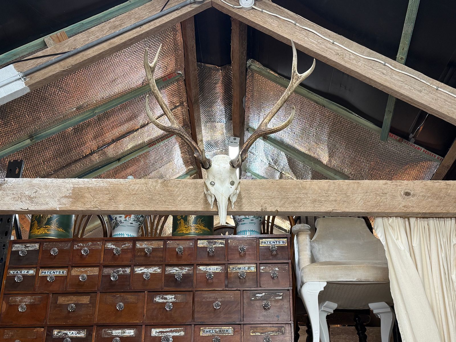 European Mount Deer Skull With Antlers Taxidermy Wall Feature photo vinterior