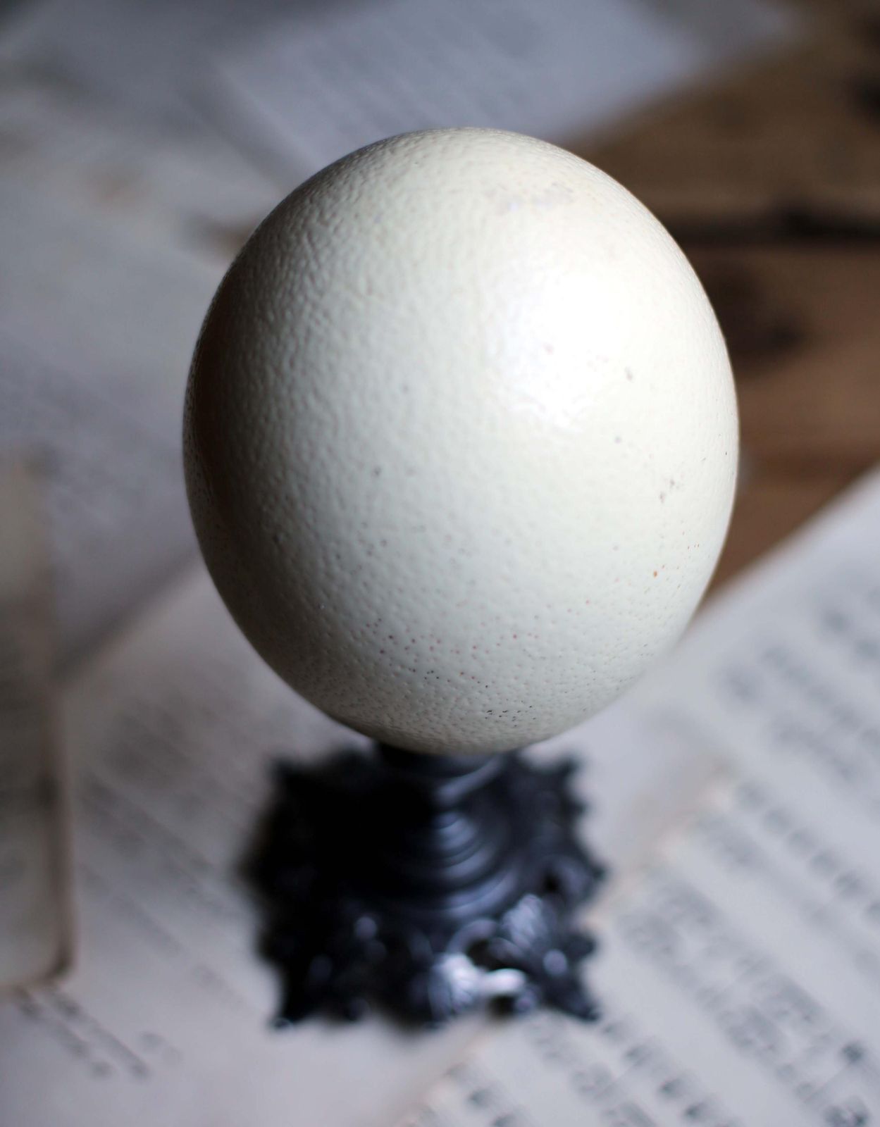 Antique Ostrich Egg And Pewter Display Stand Specimen For Cabinet Of Curiosities Rococo Style photo buy