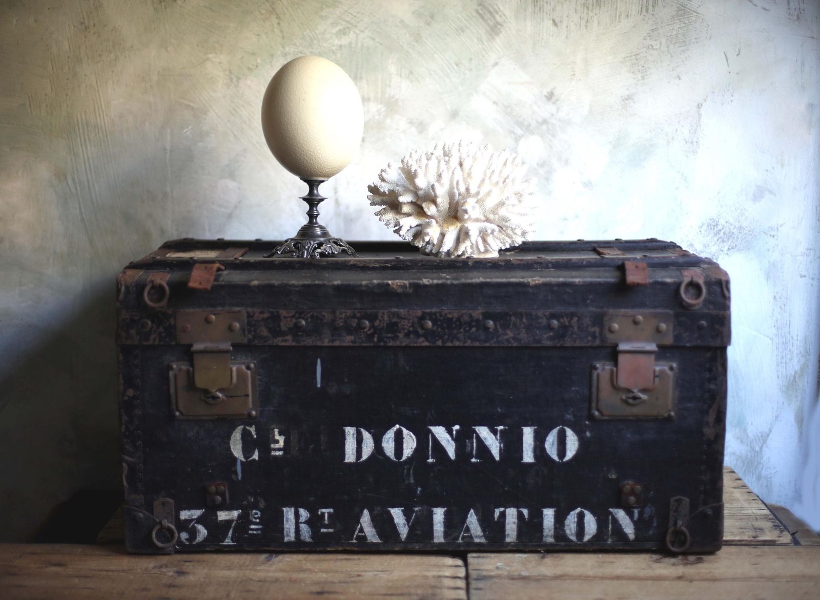 Antique Ostrich Egg And Pewter Display Stand Specimen For Cabinet Of Curiosities Rococo Style photo vintage