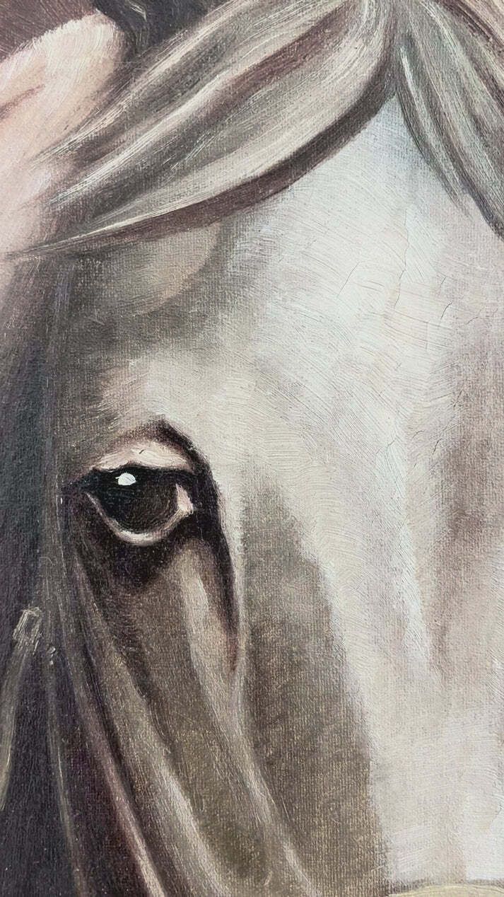 Vintage Original White Horse Oil Painting, Signed Equestrian Portrait photo Art