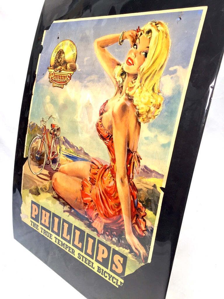 Antique Advertising   20th Century Phillips Cycles Promotional Poster Sign C1950.