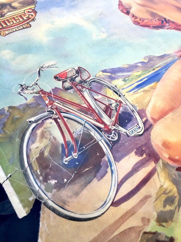 Antique Advertising   20th Century Phillips Cycles Promotional Poster Sign C1950. photo Art