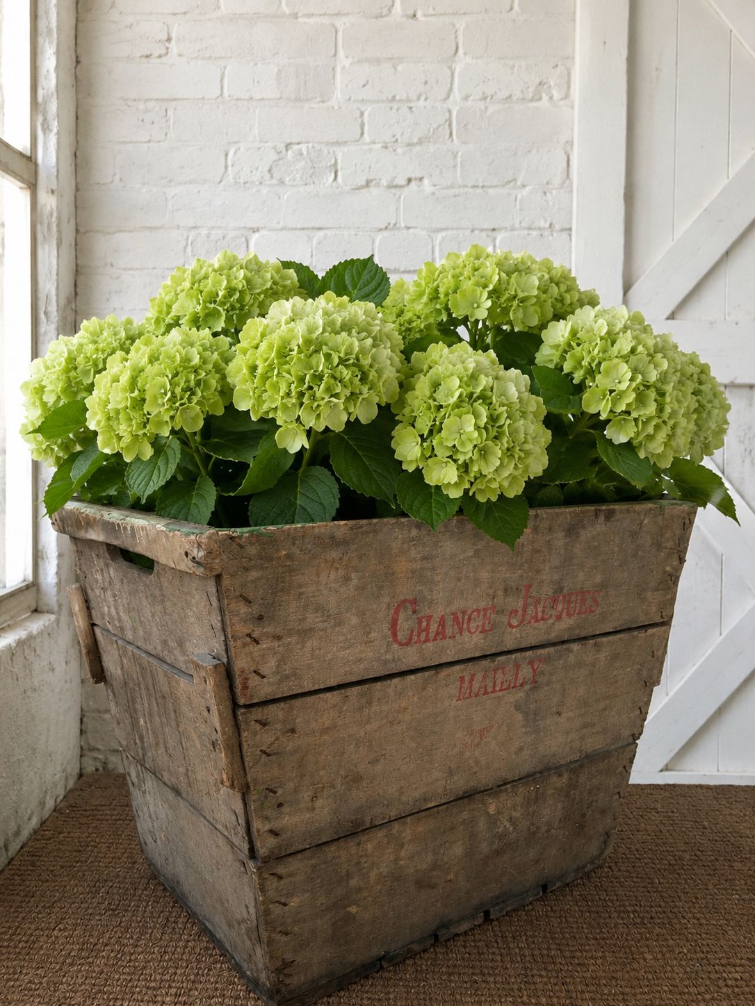 Vintage French Champagne Collecting Crate