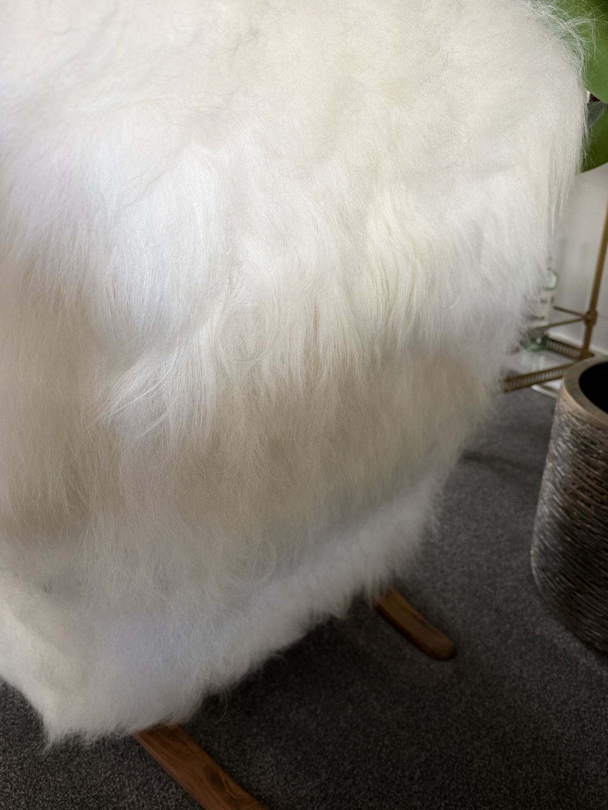 Halabala H269 Bentwood Chair, Real Sheepskin Covering photo buy