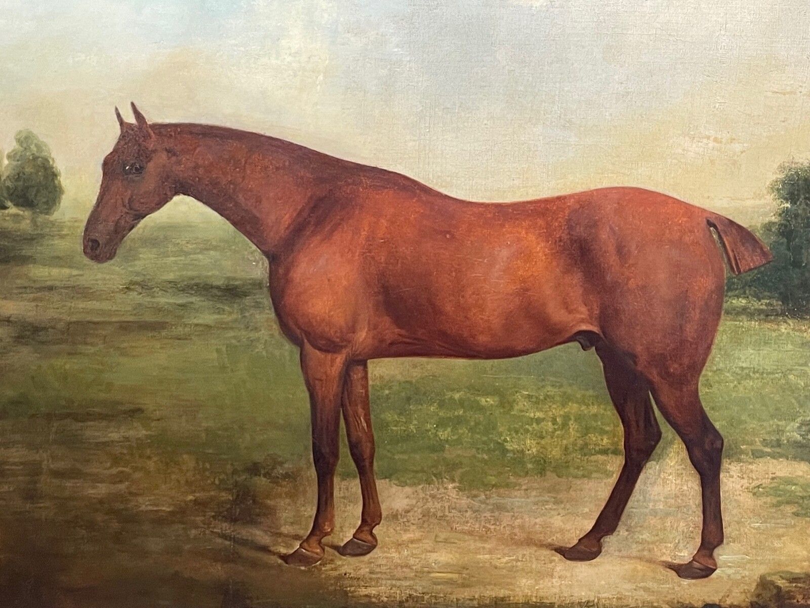 Vroeg-19e-eeuws ruiterij-olieschilderij van het renpaard Partisan, gefokt door de 4e Duke of Grafton, ca. 1827, gesigneerd door James Barenger. photo furniture