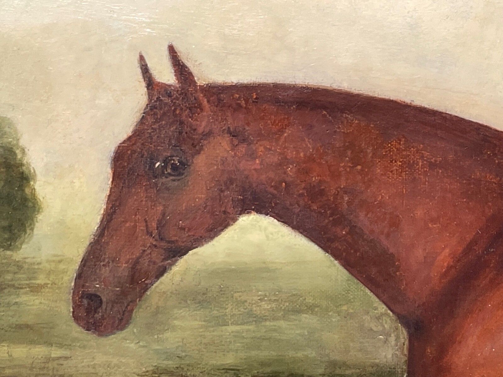 Early 19th Century Equestrian Oil Painting Bay Race Horse Partisan Bred By 4th Duke Of Grafton C1827 Signed By James Barenger. photo Art