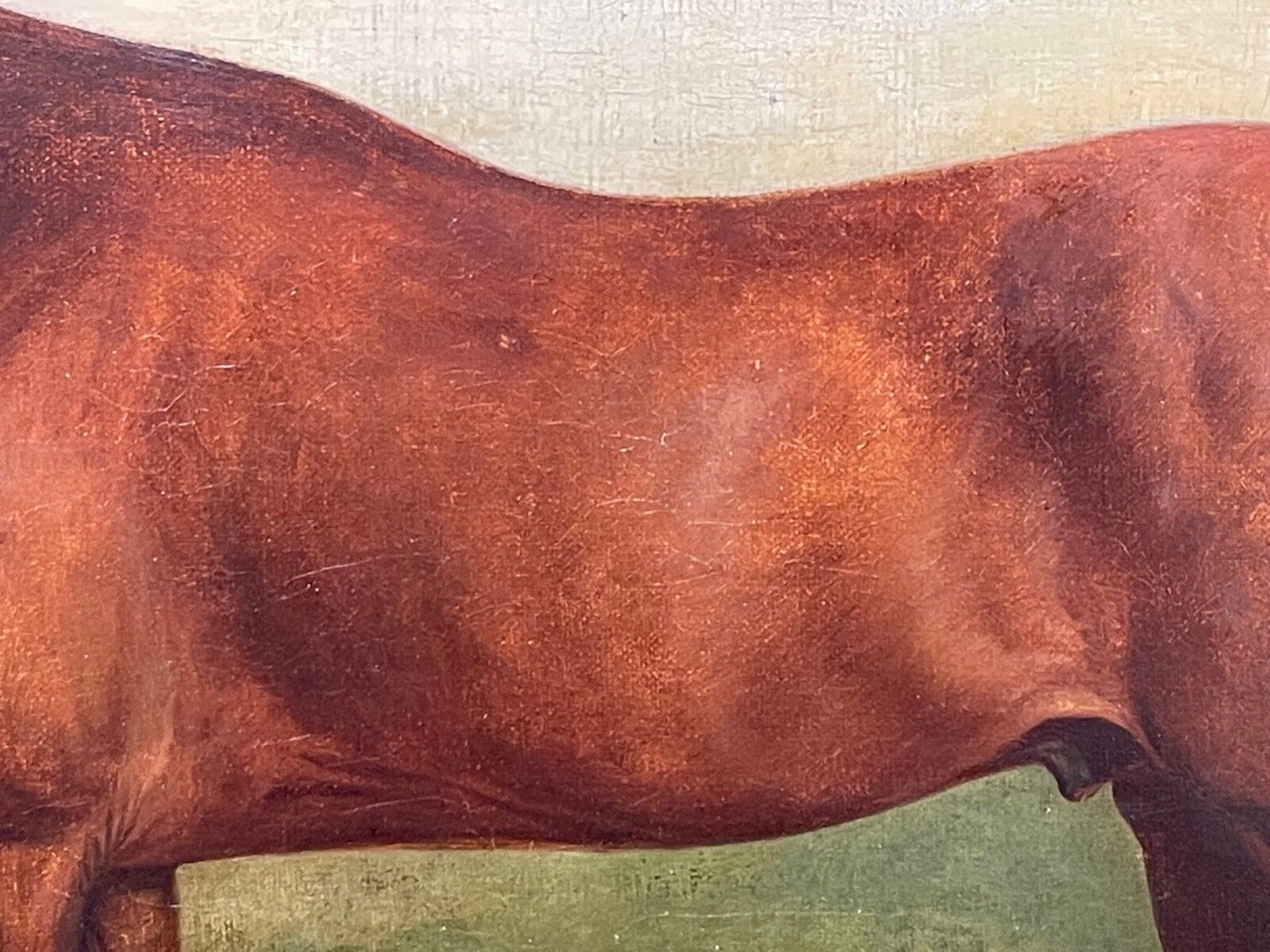 Early 19th Century Equestrian Oil Painting Bay Race Horse Partisan Bred By 4th Duke Of Grafton C1827 Signed By James Barenger. photo 12000.0