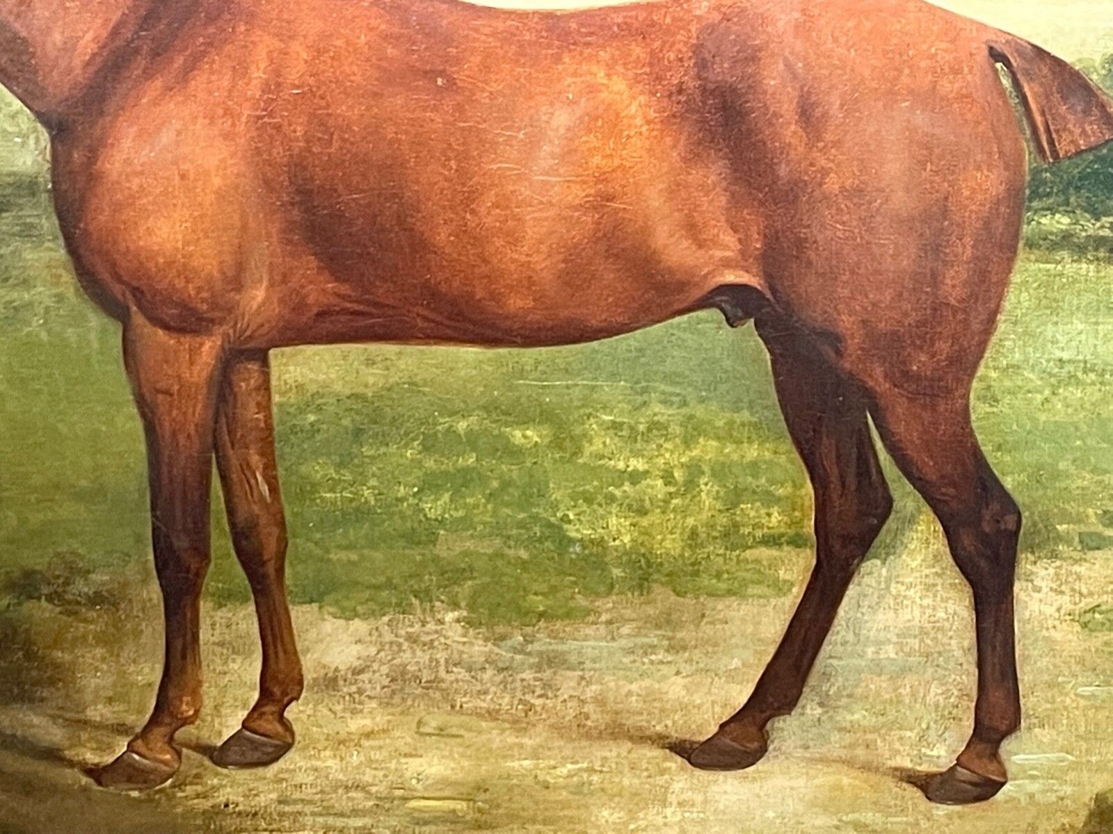 Vroeg-19e-eeuws ruiterij-olieschilderij van het renpaard Partisan, gefokt door de 4e Duke of Grafton, ca. 1827, gesigneerd door James Barenger. photo buy