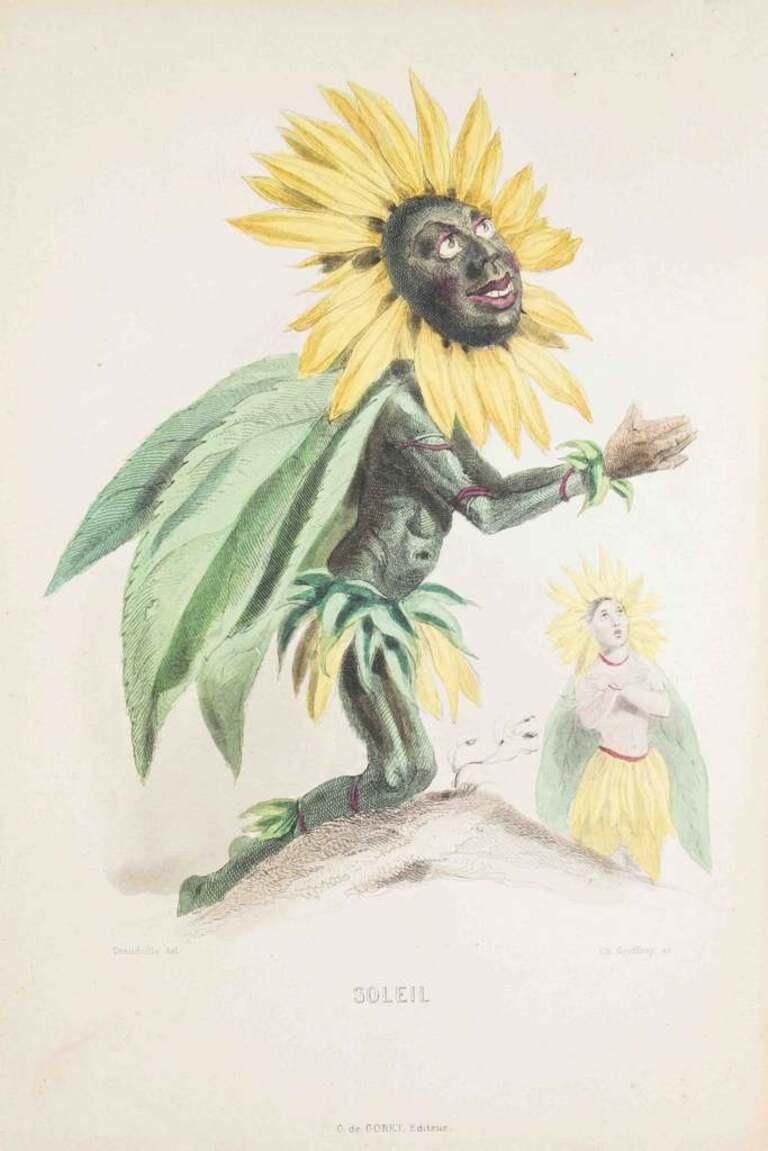 J. J. Grandville Soleil   Les Fleurs Animées Vol.I   Lithograph By J.J. Grandville   1847 1847
