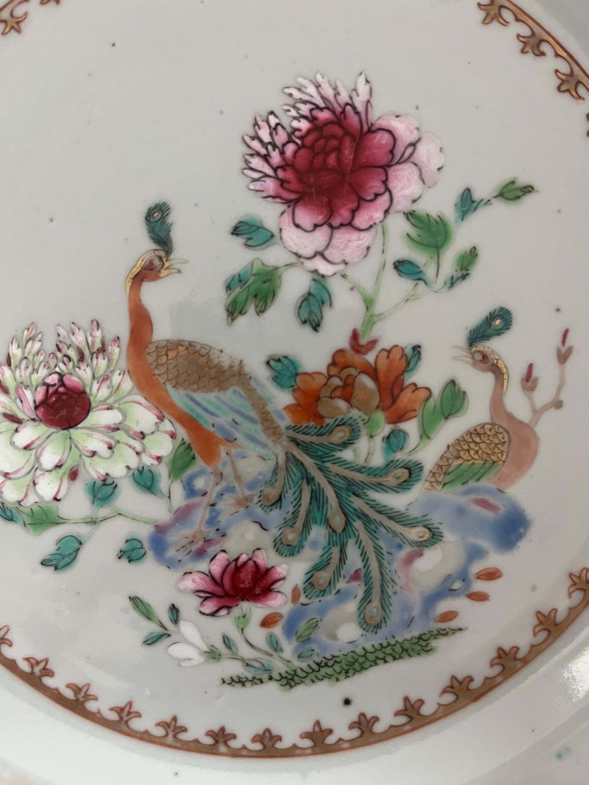 Chinese Porcelain Plate, Famille Rose Peacocks, Qing Yongzheng, 1730 photo for sale