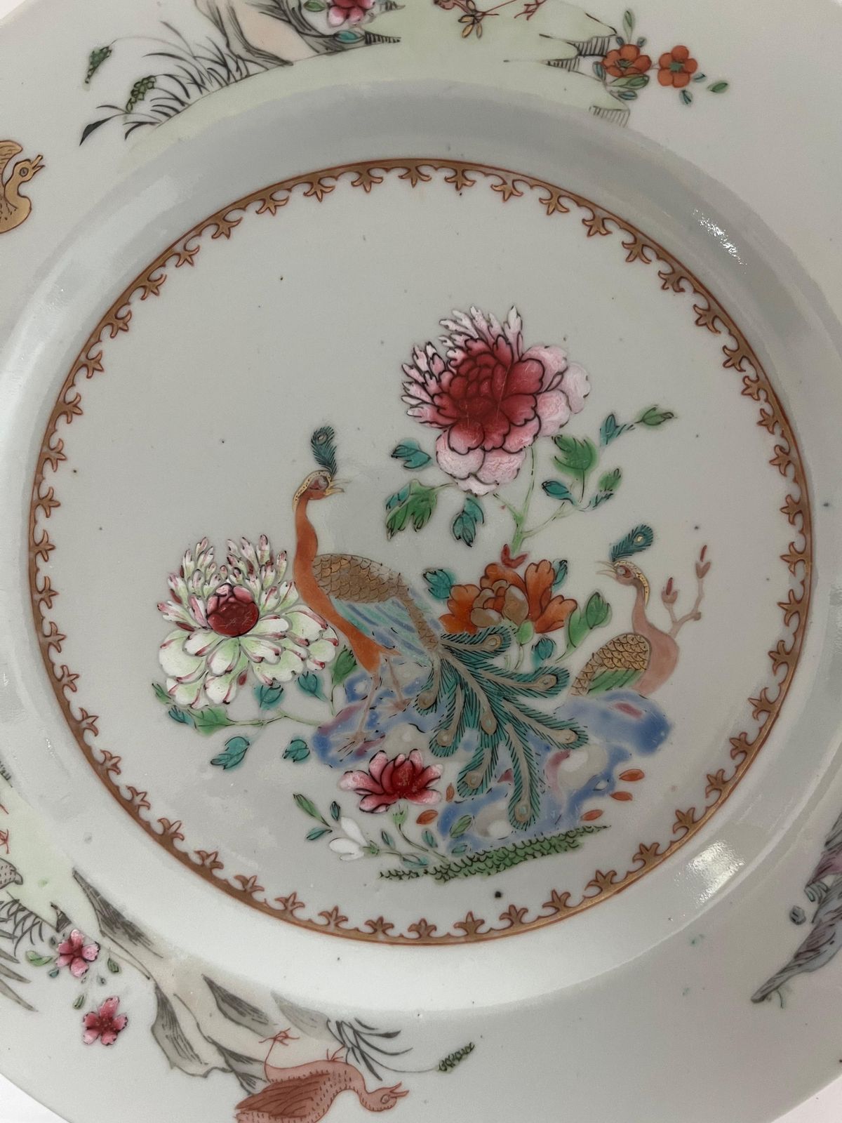 Chinese Porcelain Plate, Famille Rose Peacocks, Qing Yongzheng, 1730 photo 520.0