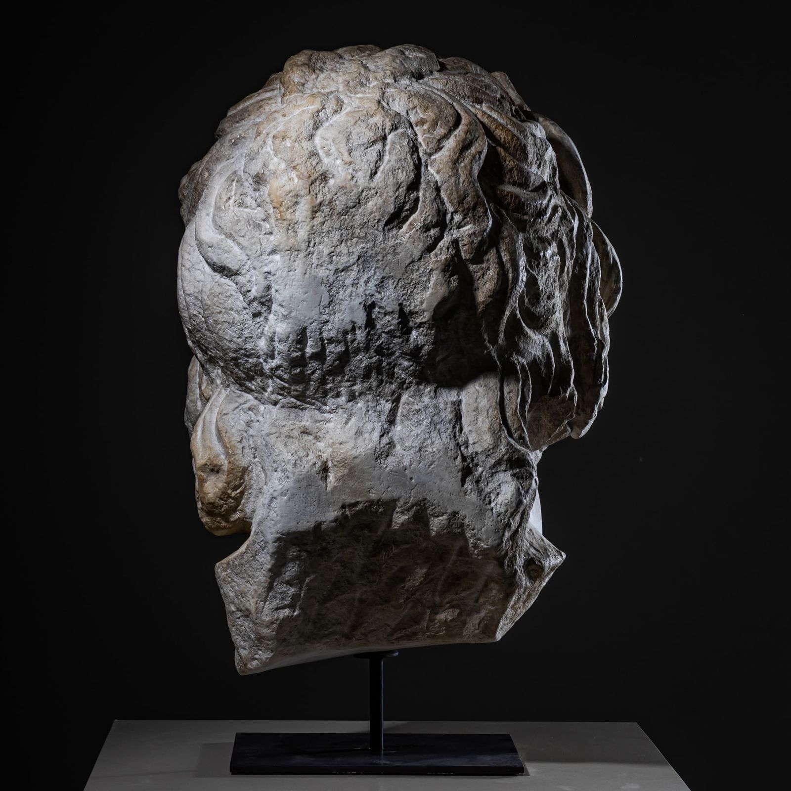 Head Of Asclepius, Modern Plaster Cast After The Antique, 21st Century photo 3815.0