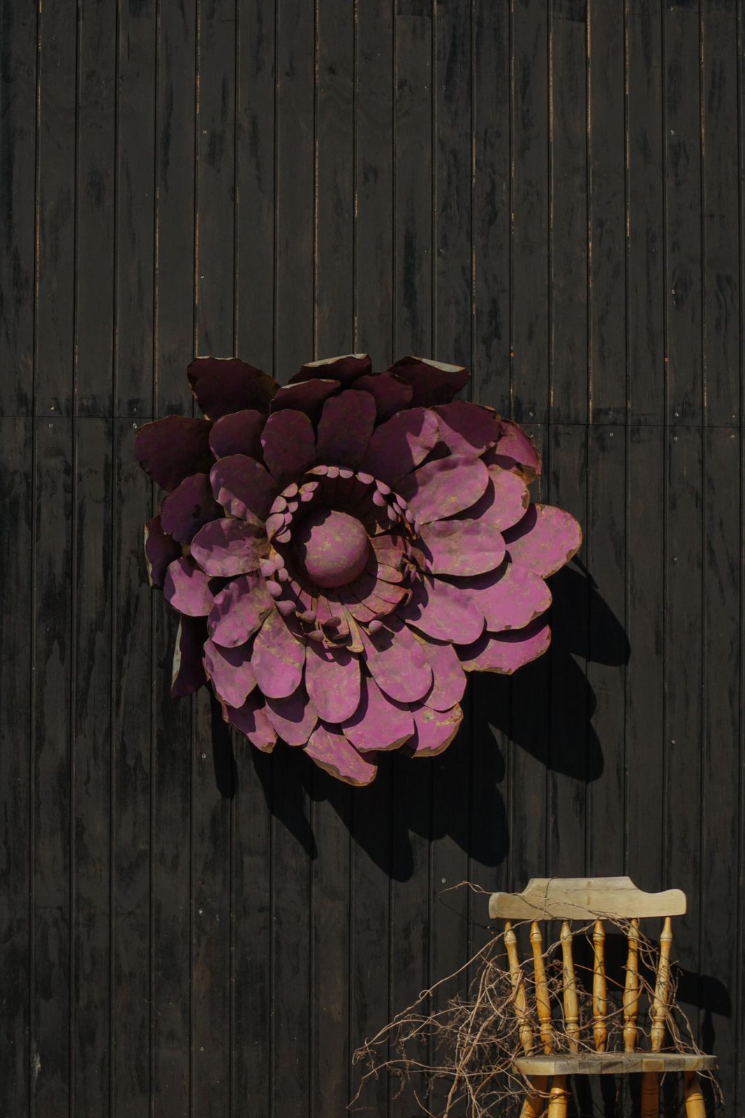 Large Sculptural Metal Flower Wall Decoration, Belgium, Mid 20th Century, 1960s photo furniture