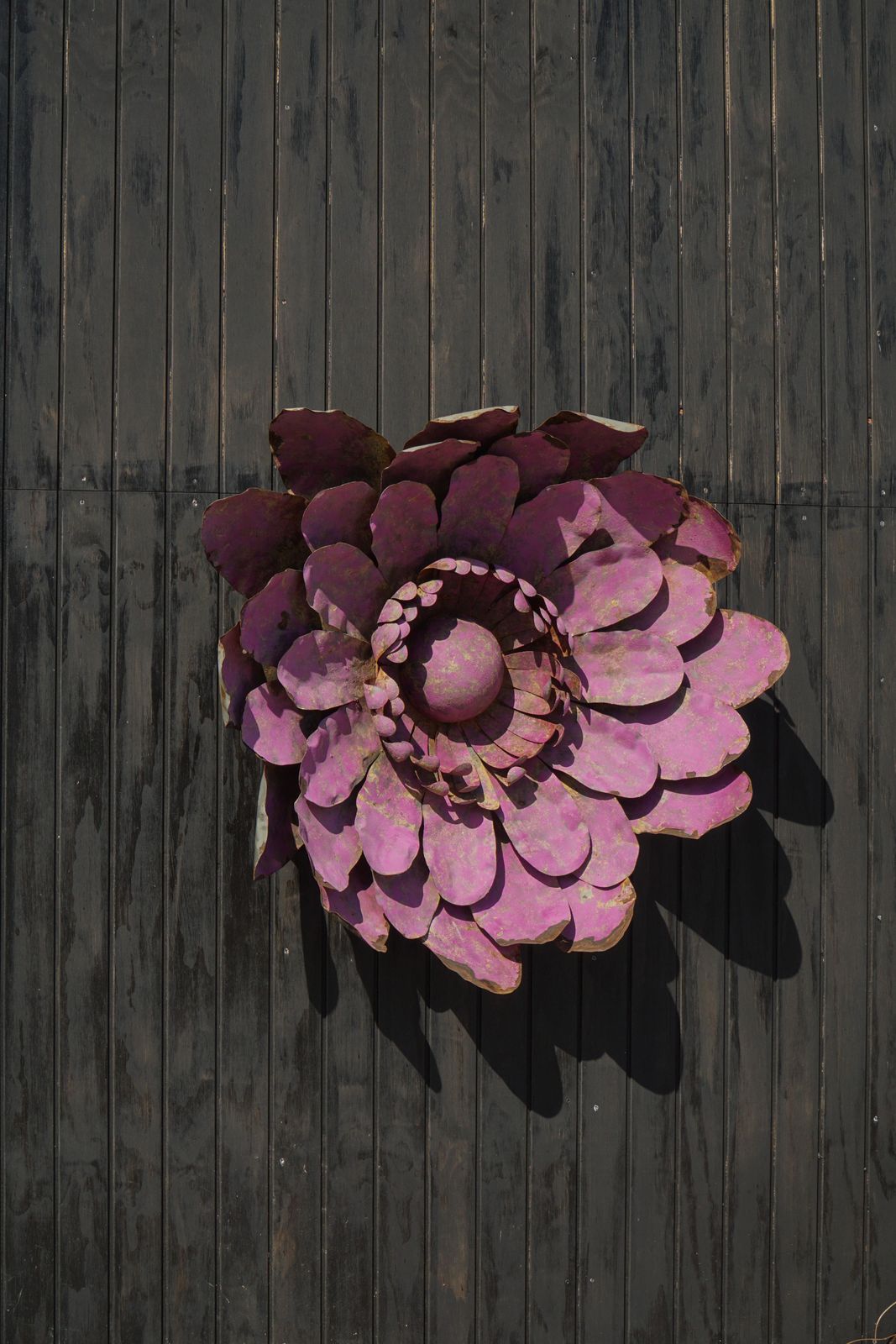 1880.0 Large Sculptural Metal Flower Wall Decoration, Belgium, Mid 20th Century, 1960s photo