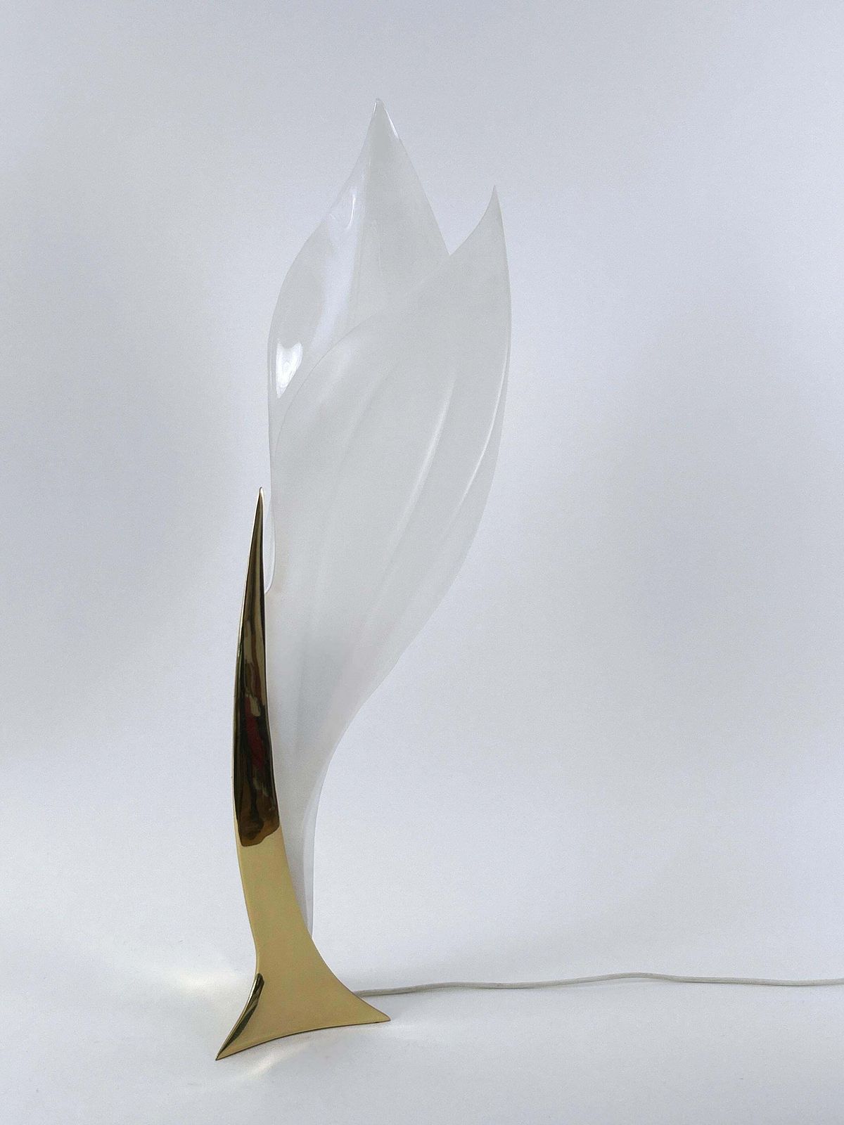 Modernist Acrylic & Brass Table Lamp Or Floor Light By Maison Rougier 1970s photo 3964.0