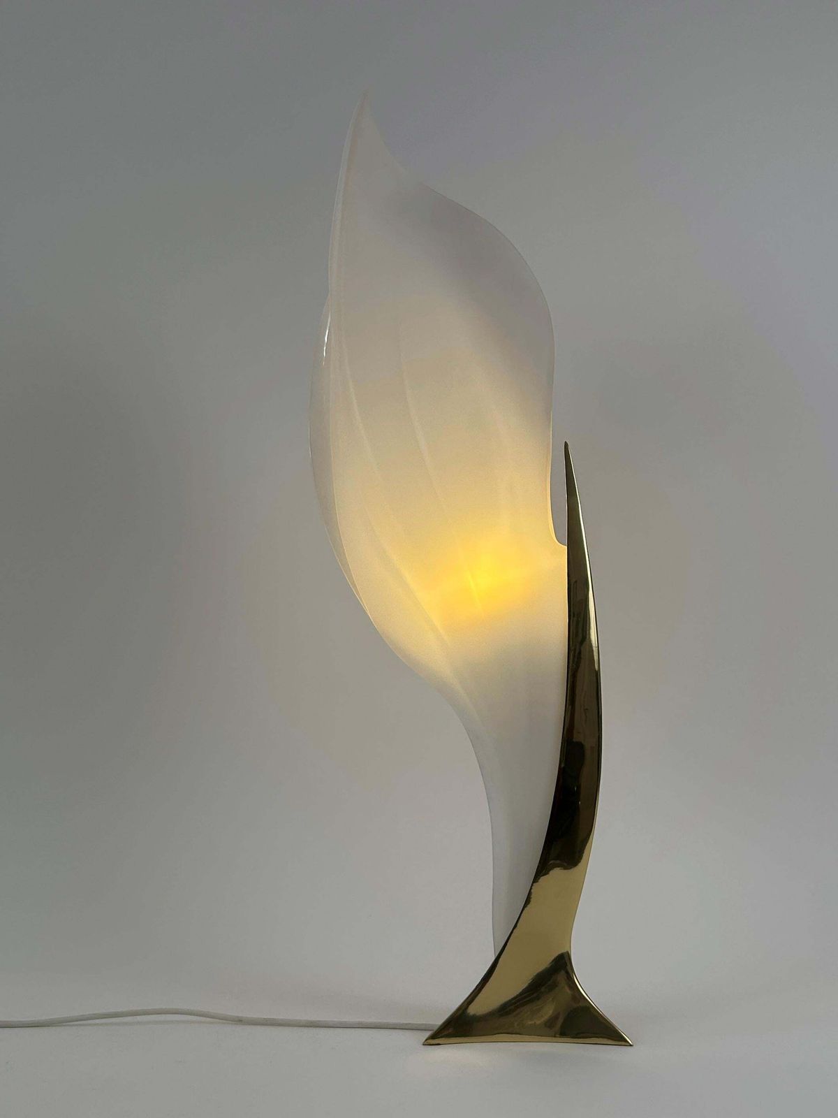 photo vintage Modernist Acrylic & Brass Table Lamp Or Floor Light By Maison Rougier 1970s