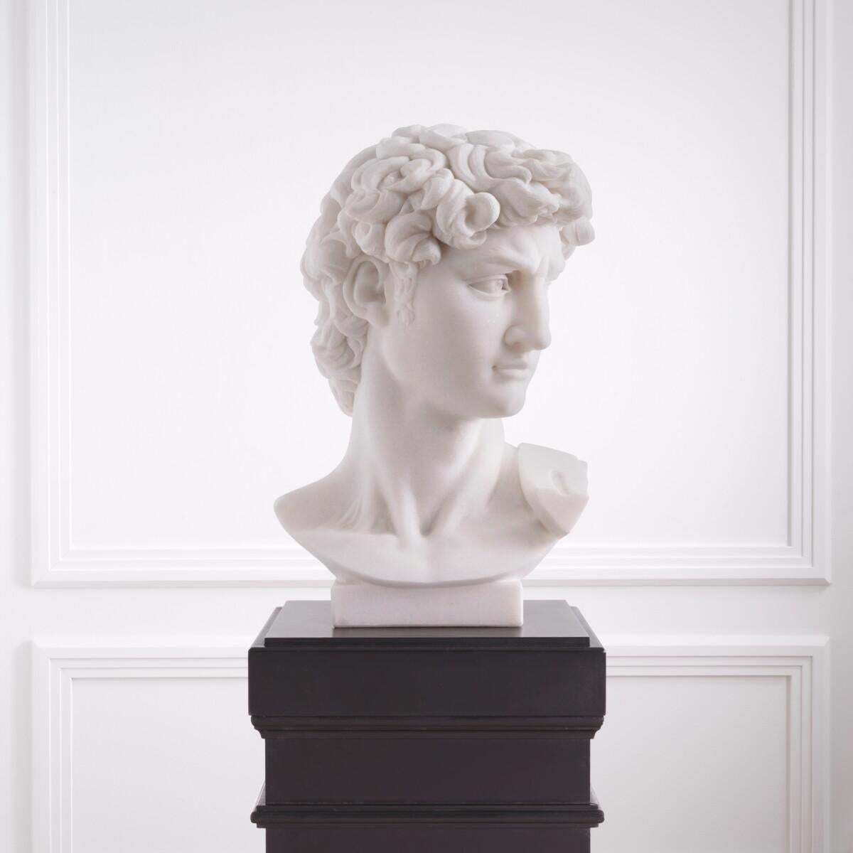 Head David Statue In White Marble Finish photo for sale