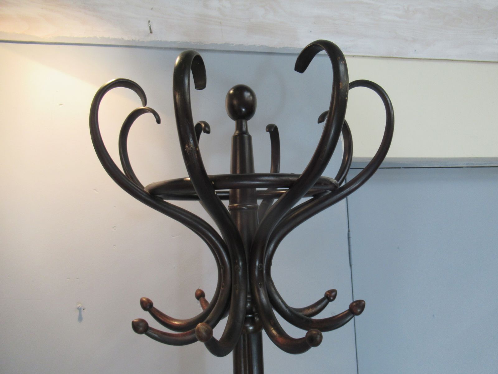 photo for sale Beech  1920  Bent Wood Hat / Coat Stand