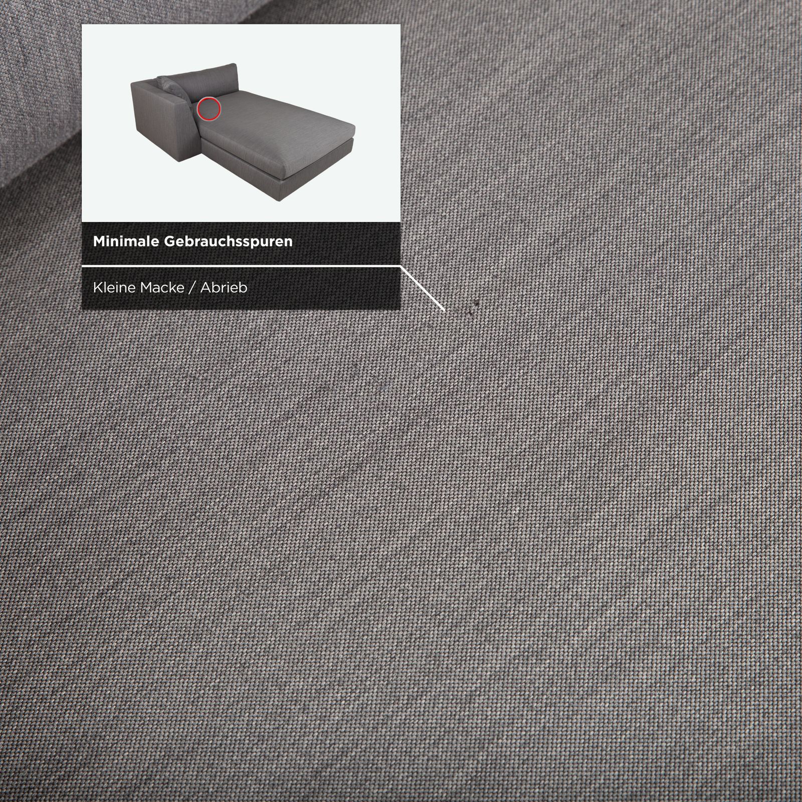 Ligne Roset Exclusif Fabric Daybed Grey Anthracite photo buy