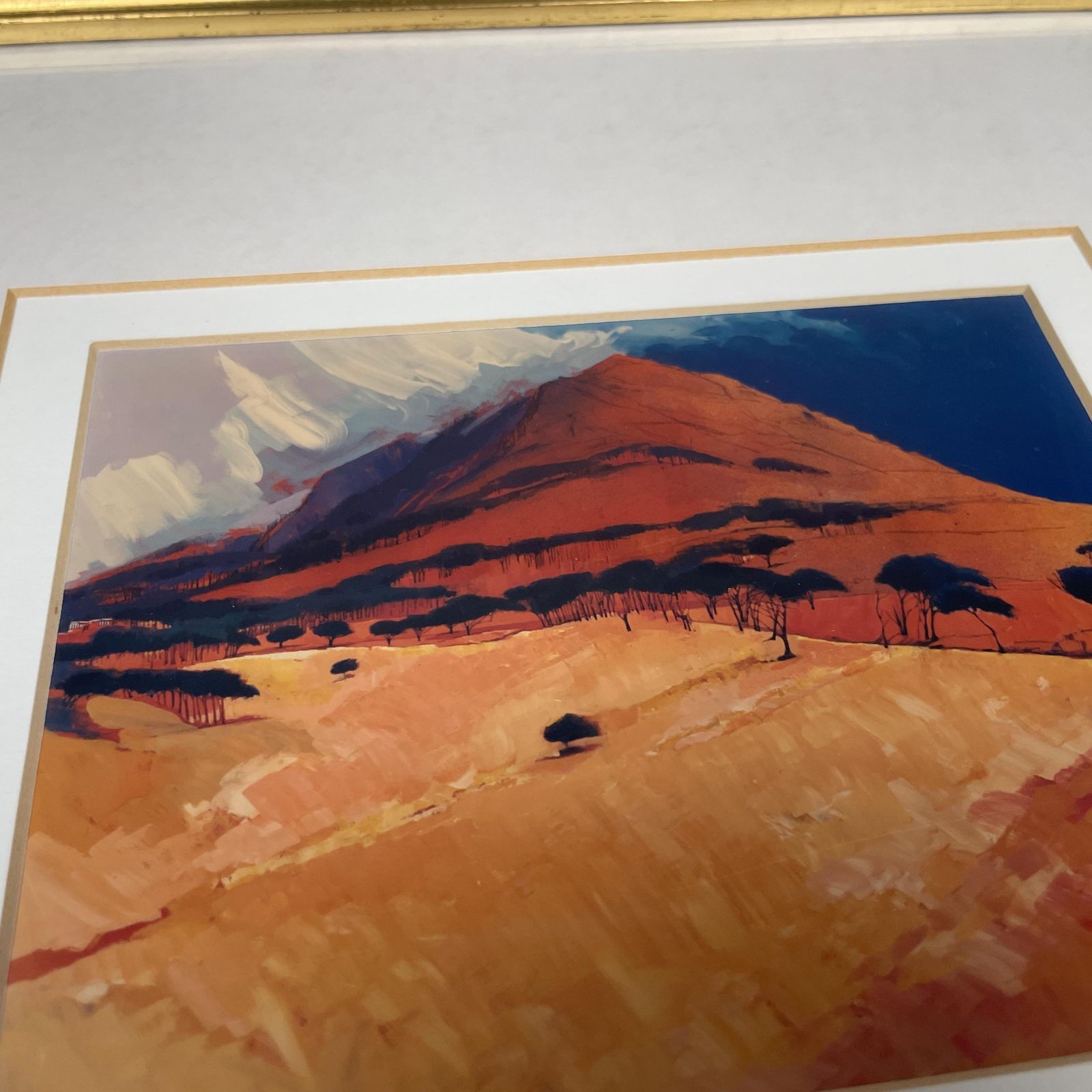 Cape Town Landscape Print Signed Mike Fitzpatrick 1993 Devil's Peak Framed Gold Wall Art South Africa Travel Art Collectible photo vinterior