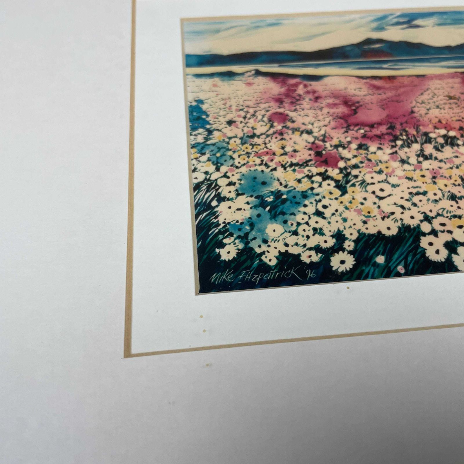 Cape Town Landscape Print Signed Mike Fitzpatrick 1993 Floral Field Framed Gold Wall Art South Africa Travel Art Collectible photo Art